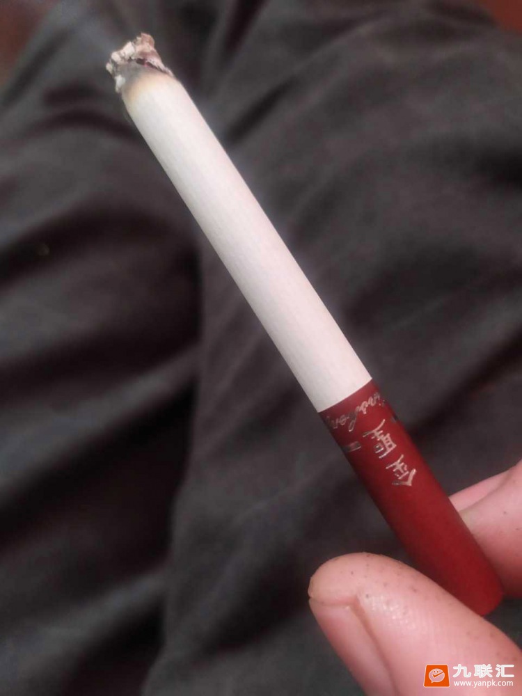 金圣(硬典藏)相册 614_70476