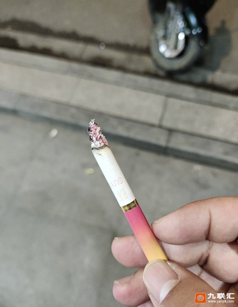 苏烟(金砂2)相册 1143_23595