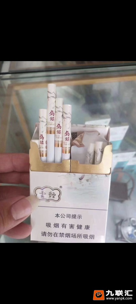 云烟(乌镇之恋中支)相册 95035_16418