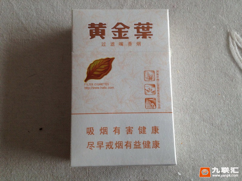 黄金叶(小天叶)相册 305_99140