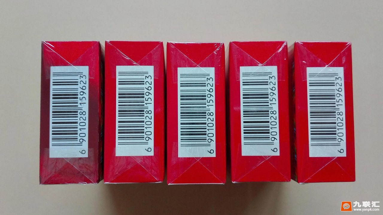 泰山(锦秀)相册 1697_18429