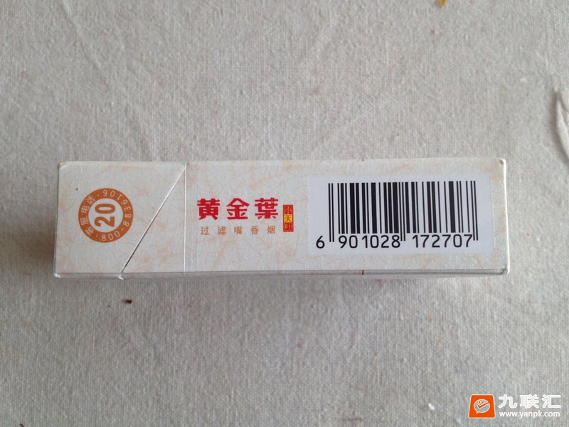 黄金叶(小天叶)相册 305_72984