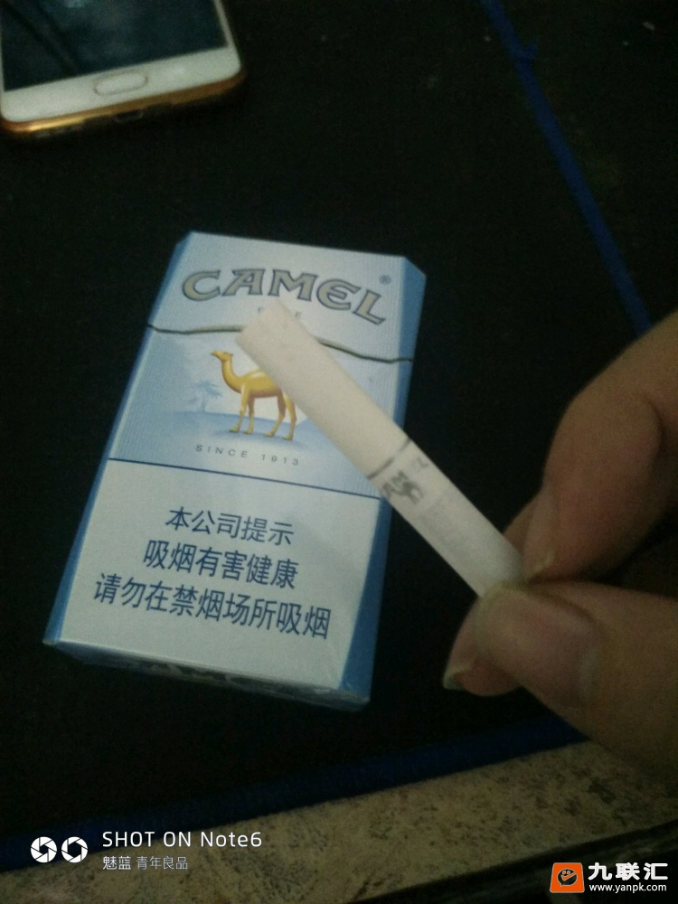 骆驼(蓝)相册 2165_35595