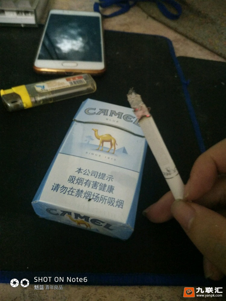 骆驼(蓝)相册 2165_33749