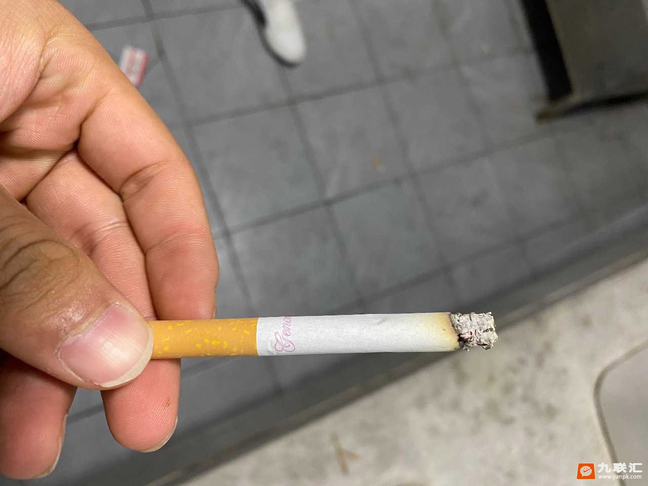 泰山(白将军)相册 1690_10205