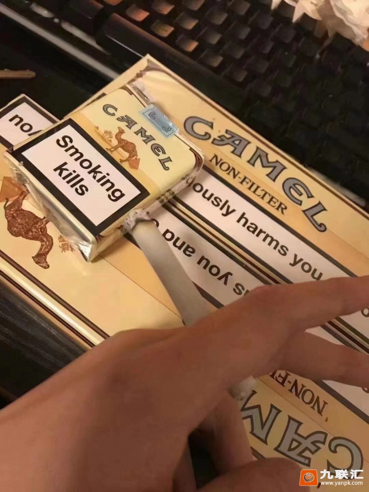 骆驼(无嘴)相册 2227_49185