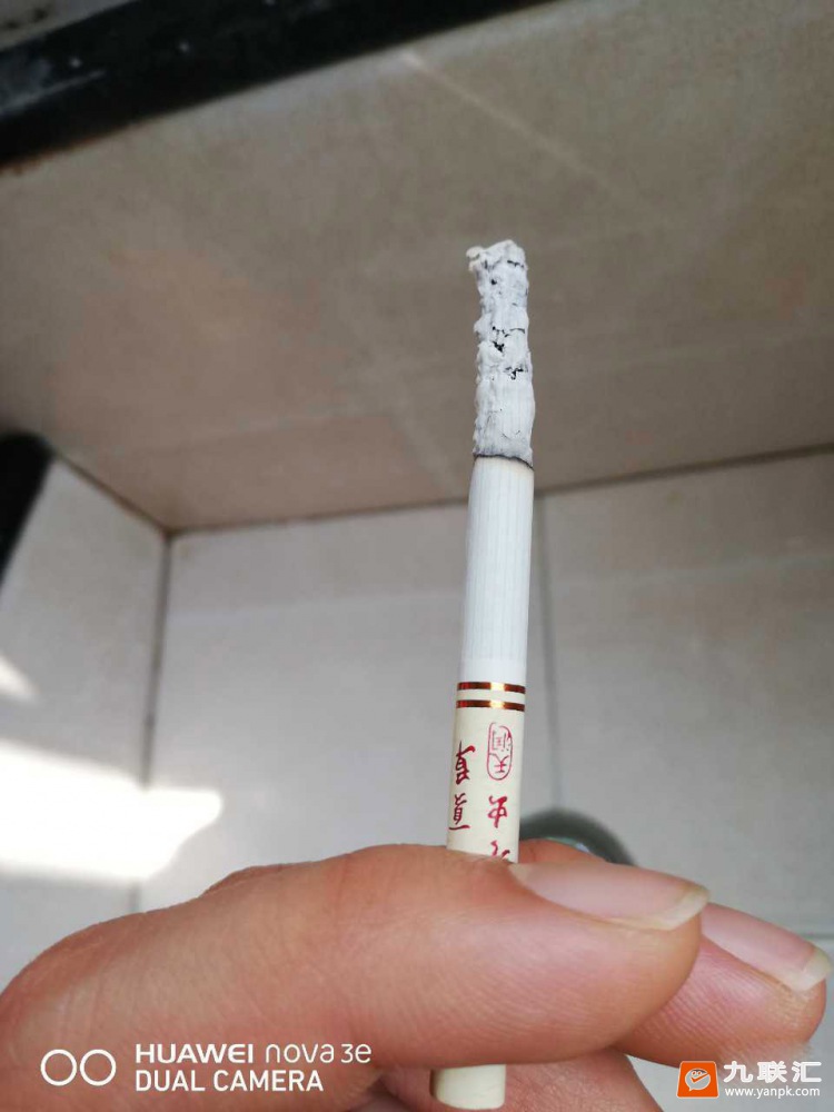 冬虫夏草(天润)相册 94093_61547