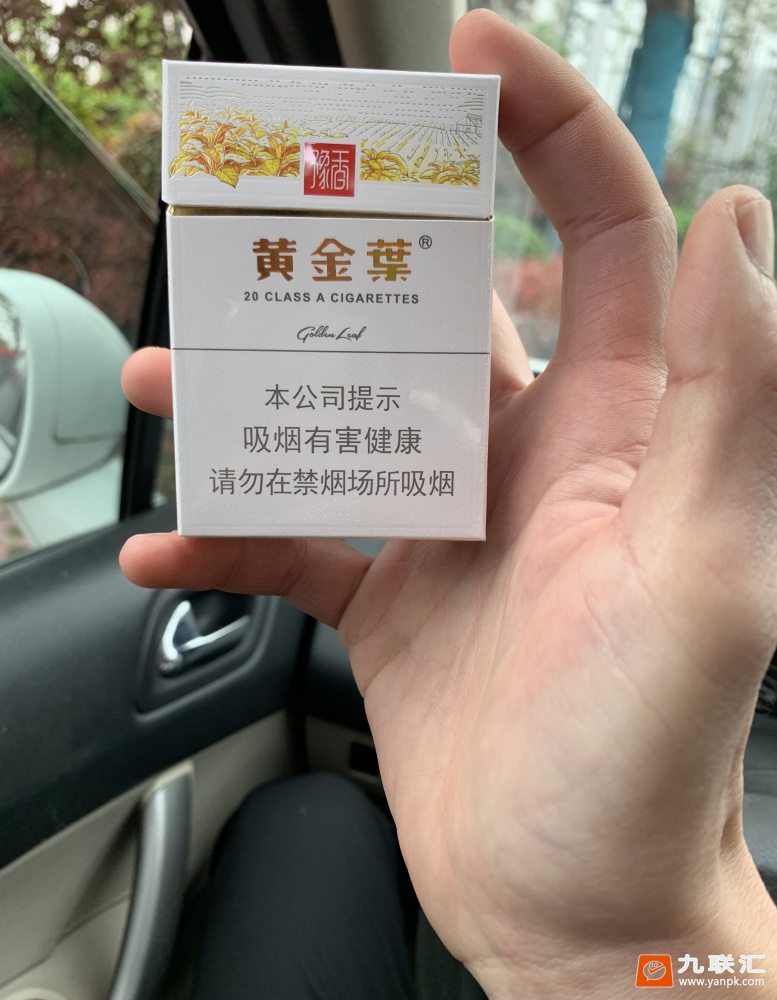 黄金叶(豫香)相册 93711_31475