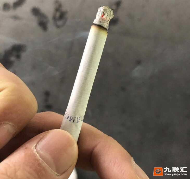 骆驼(无嘴)相册 2227_17267