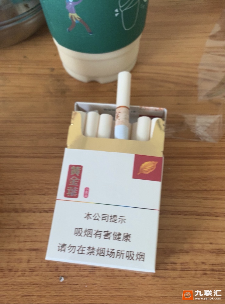 黄金叶小黄金相册 26513_50385