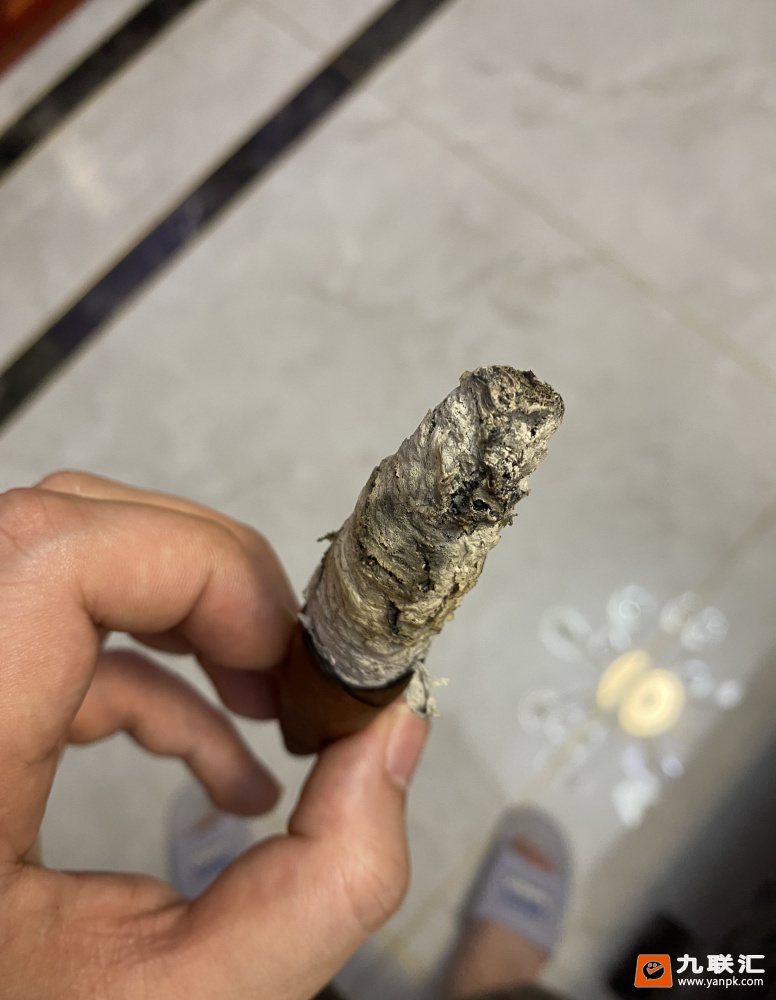 黄鹤楼(雪之梦8号)相册 93233_16849