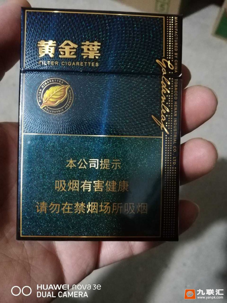 黄金叶(蓝调中支)相册 94955_48125