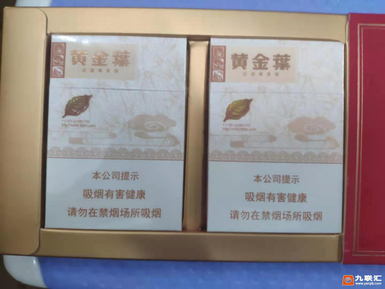 黄金叶(天香中支)相册 95316_92908