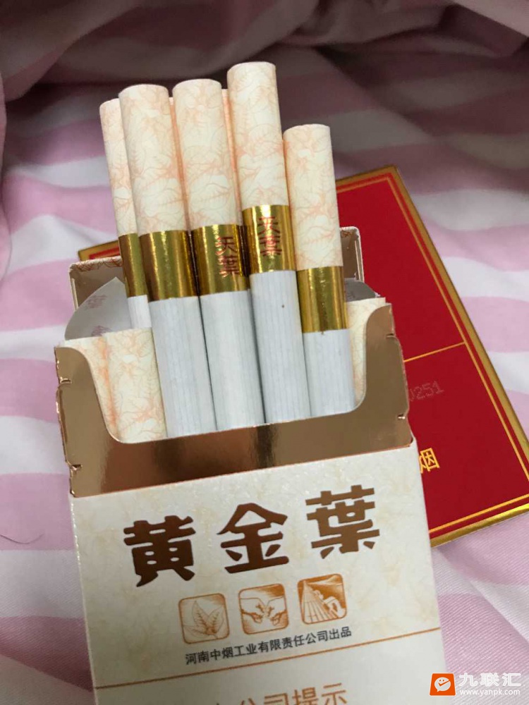 黄金叶(天叶)相册 290_66480