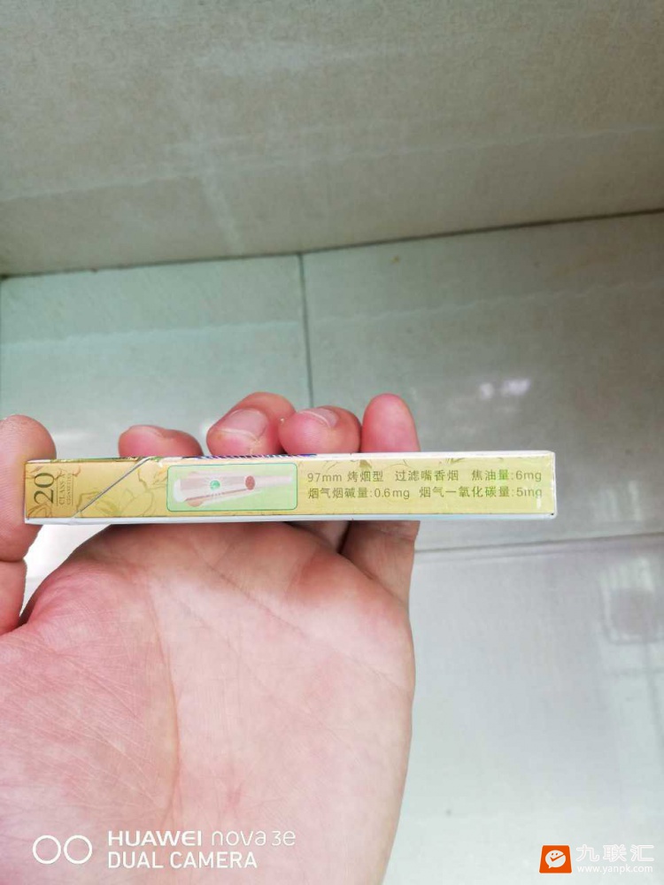 泰山(茉莉香韵)相册 93954_19794