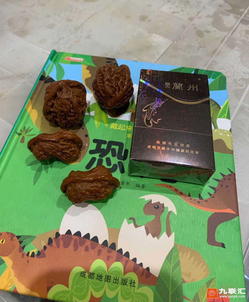 兰州(飞天)相册 634_86723