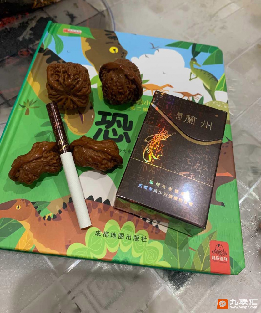 兰州(飞天)相册 634_85105