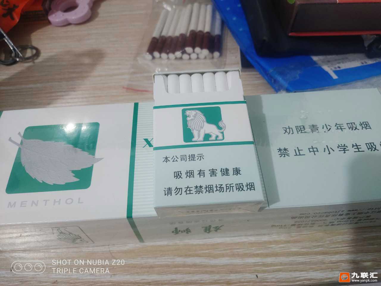 雄狮(双叶.薄荷)相册 1211_19110