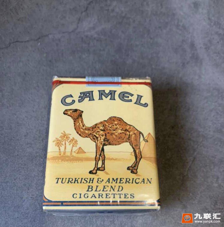 骆驼(无嘴)相册 2227_81812