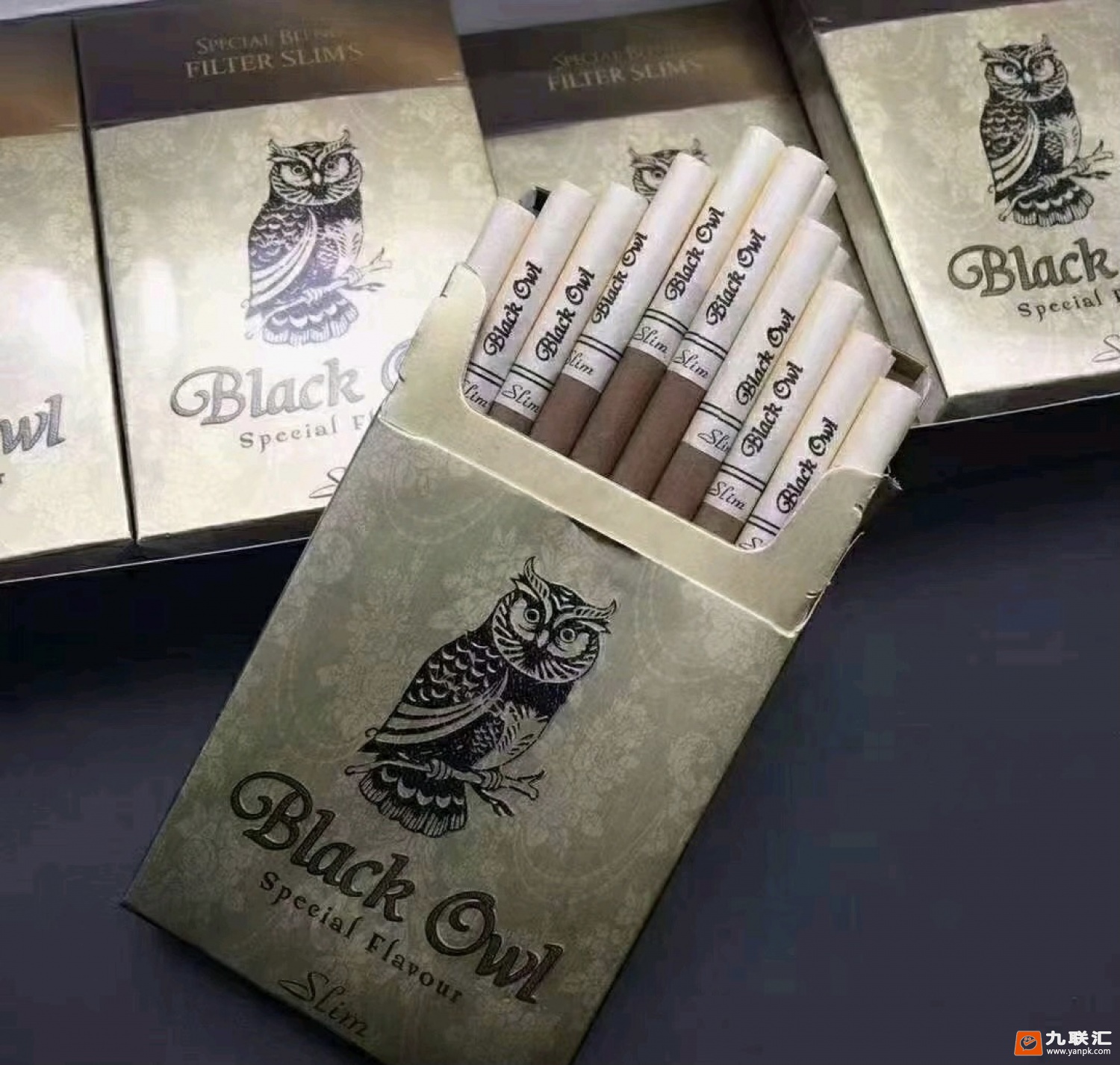 猫头鹰相册 94182_33944