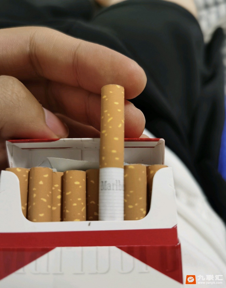 万宝路(硬红亚太免税)相册 94473_39520