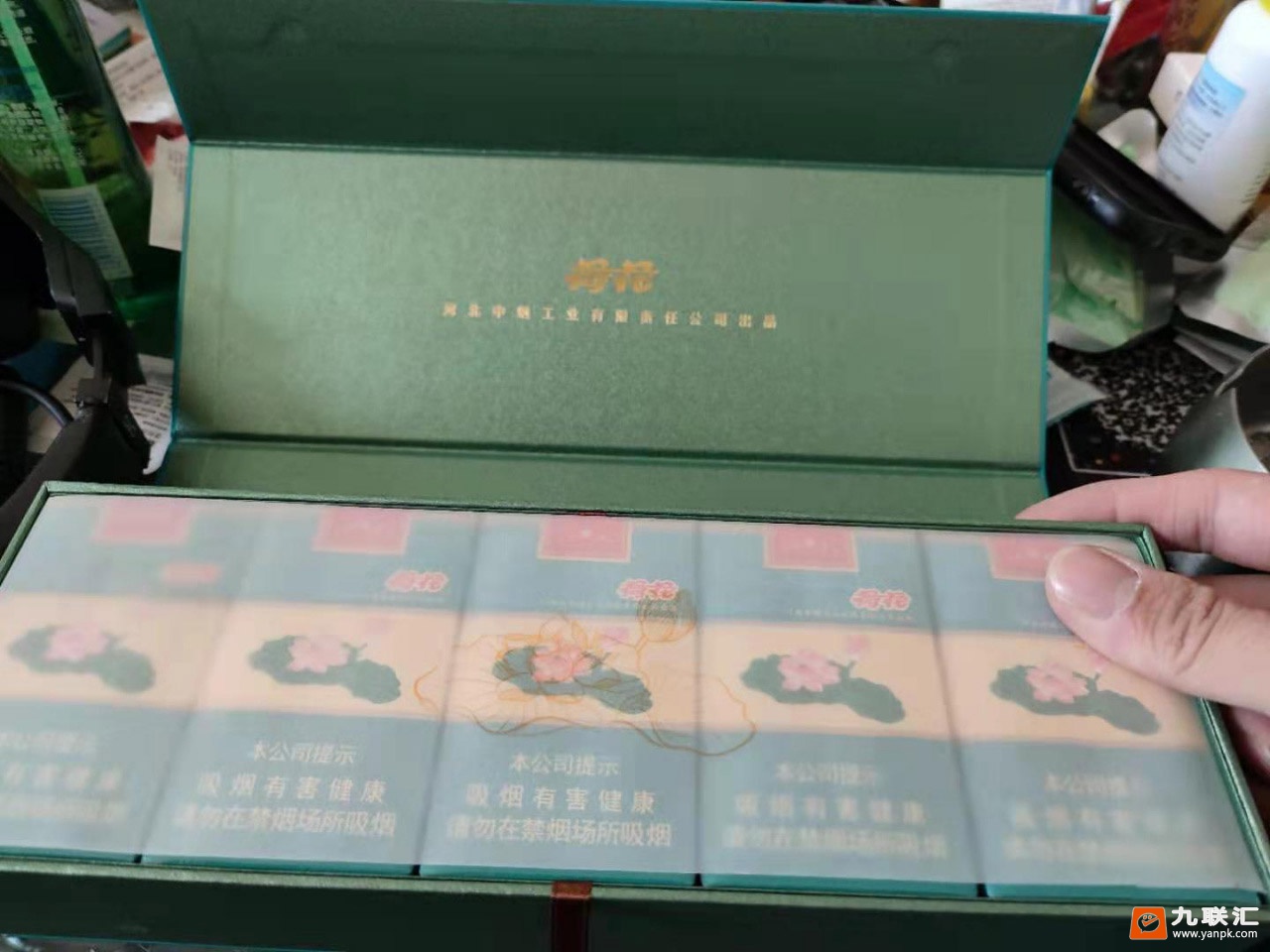 钻石软荷花相册 93749_40116