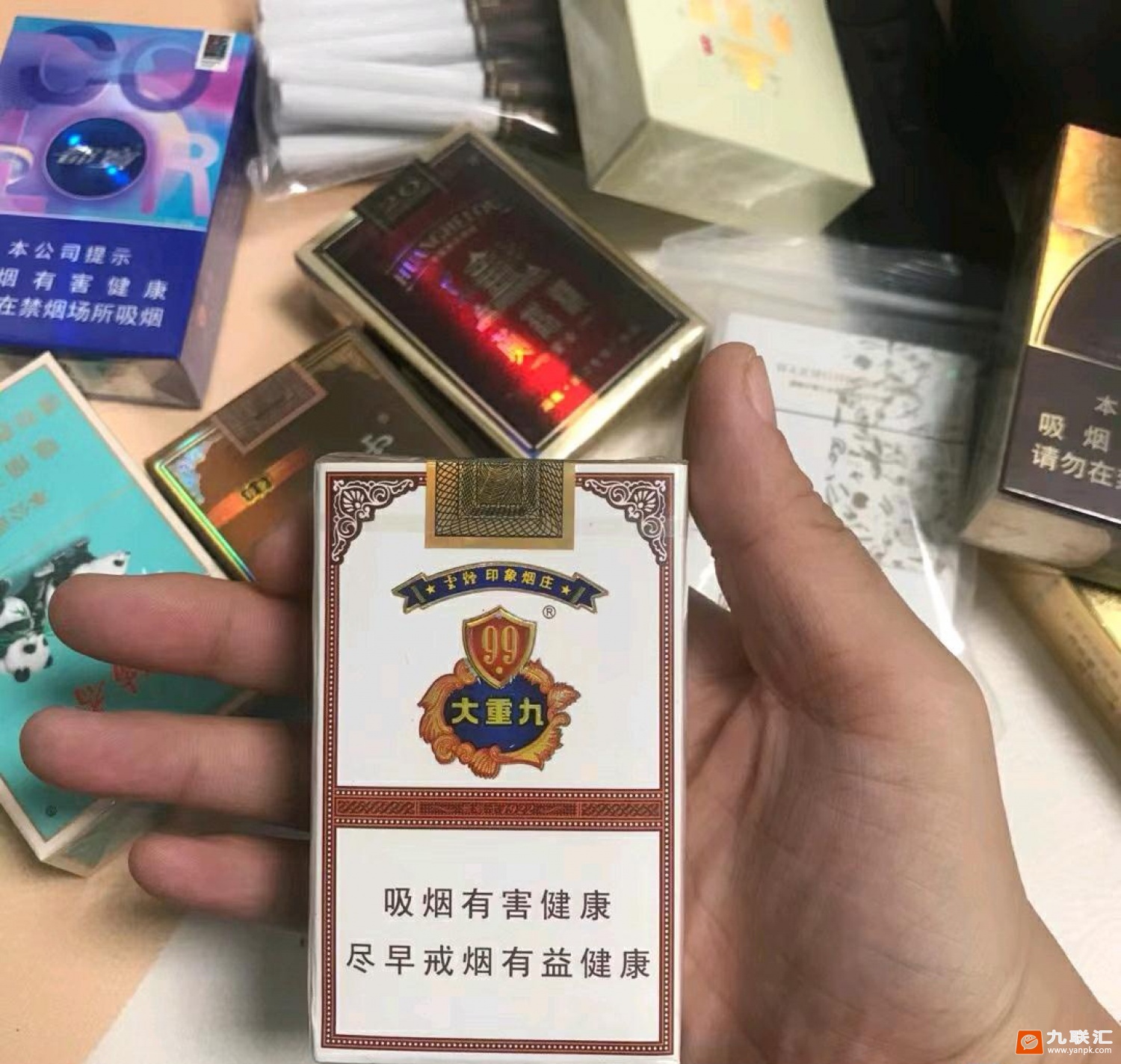 云烟(软大重九)相册 1483_96899