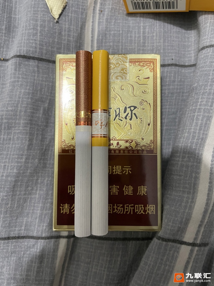 呼伦贝尔(金戈铁马)相册 93400_40182