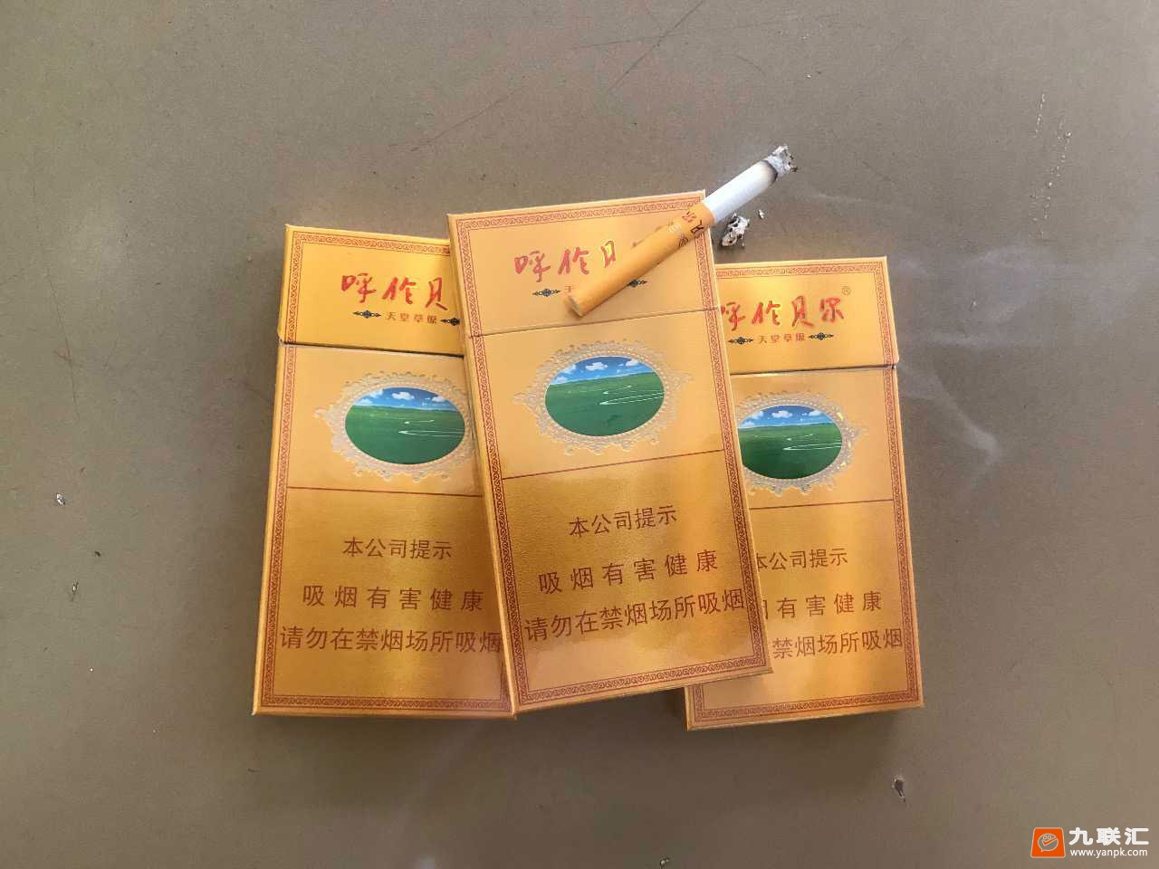 呼伦贝尔(天堂草原)相册 5715_30412