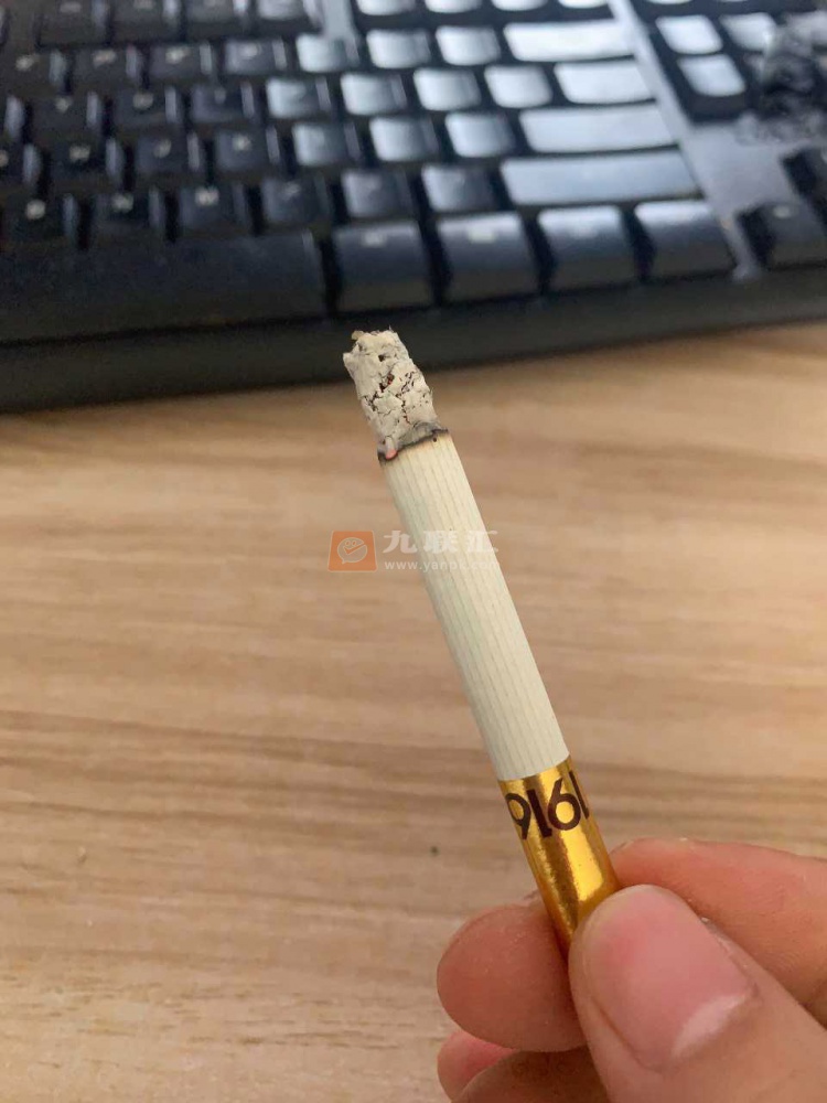 黄鹤楼(软短1916)相册 204_41852