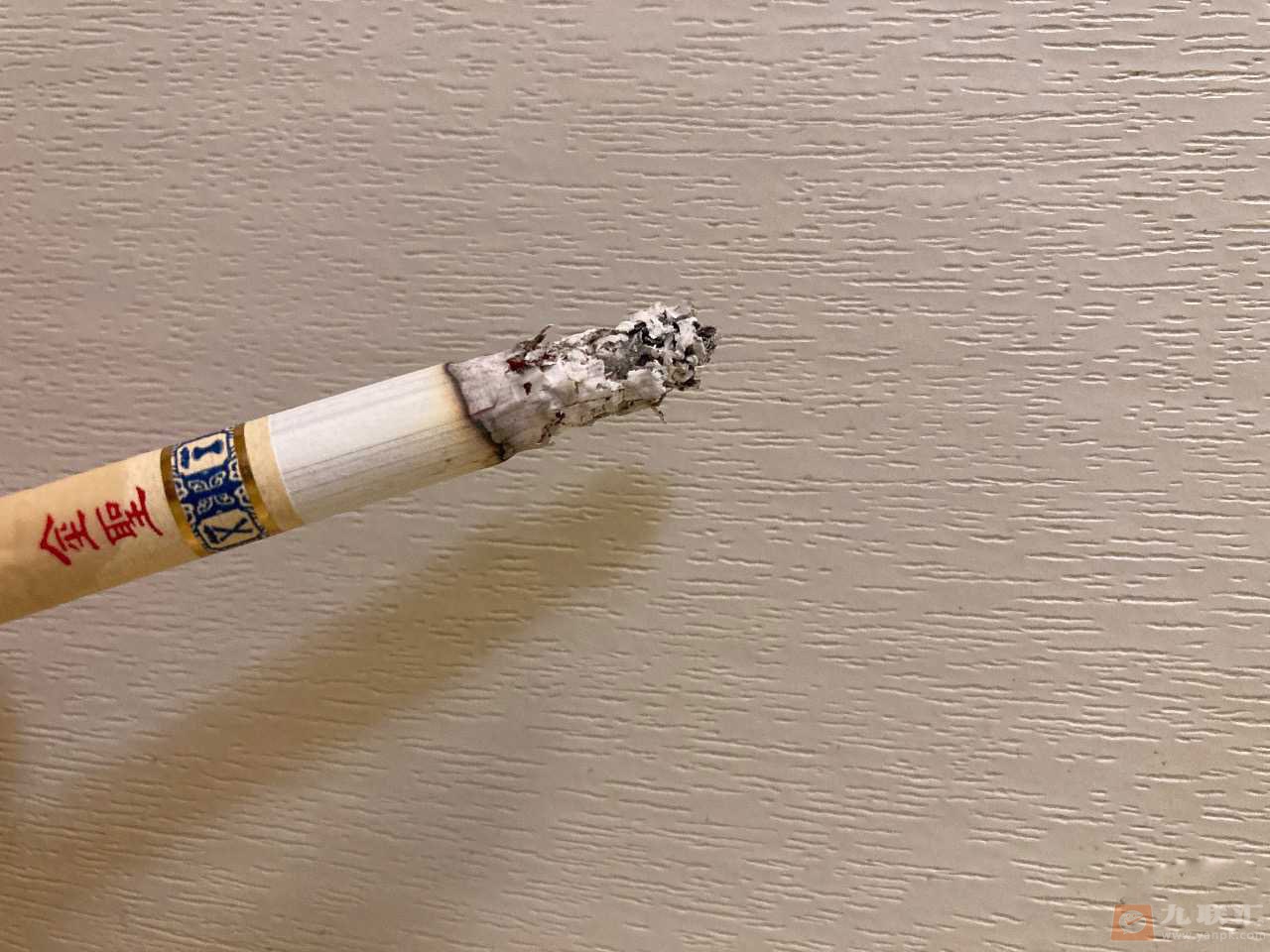 金圣(智圣出山)相册 3026_37872