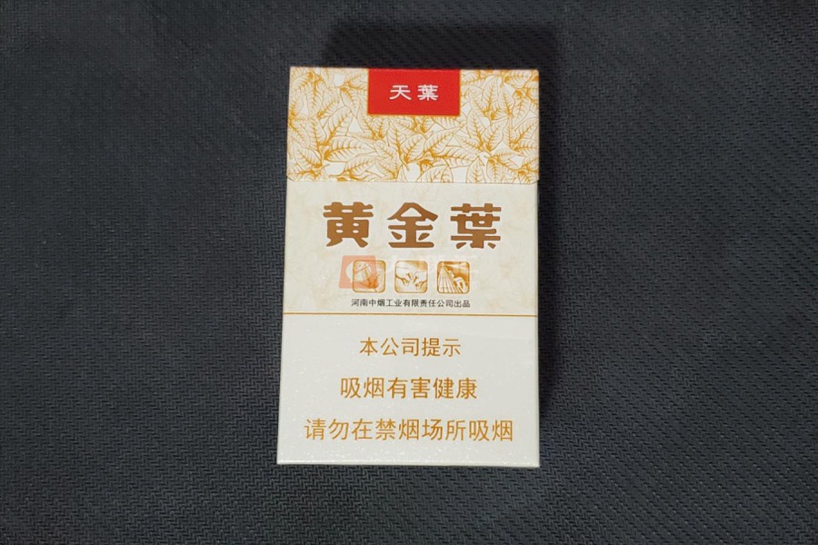 黄金叶(天叶)相册 290_60940