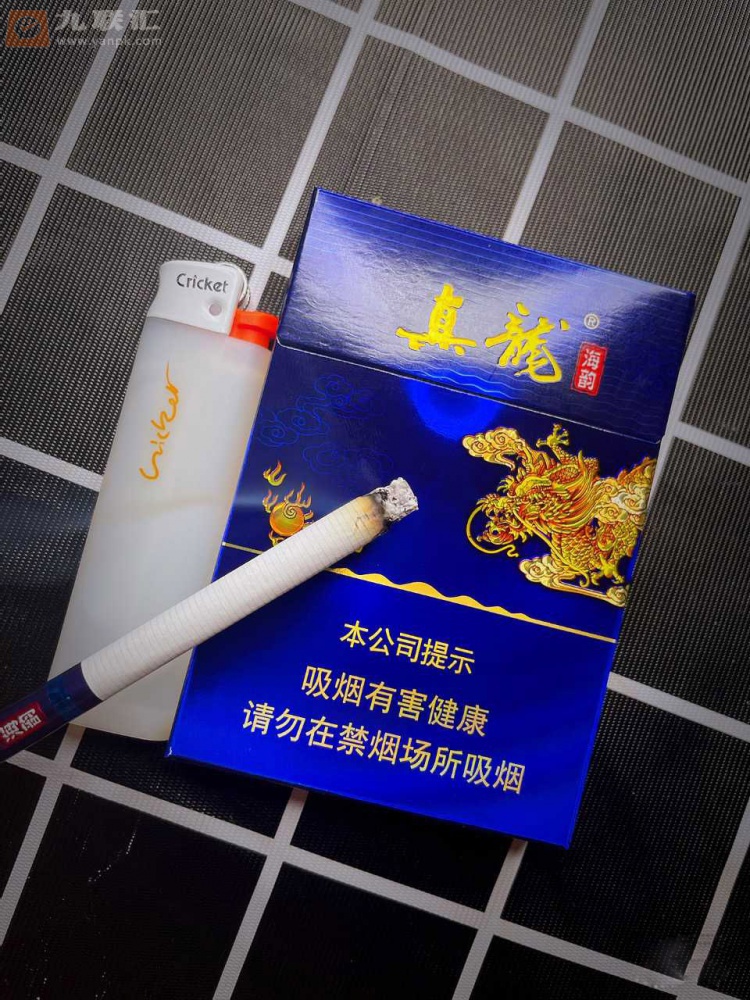 真龙(海韵中支)相册 95532_30797