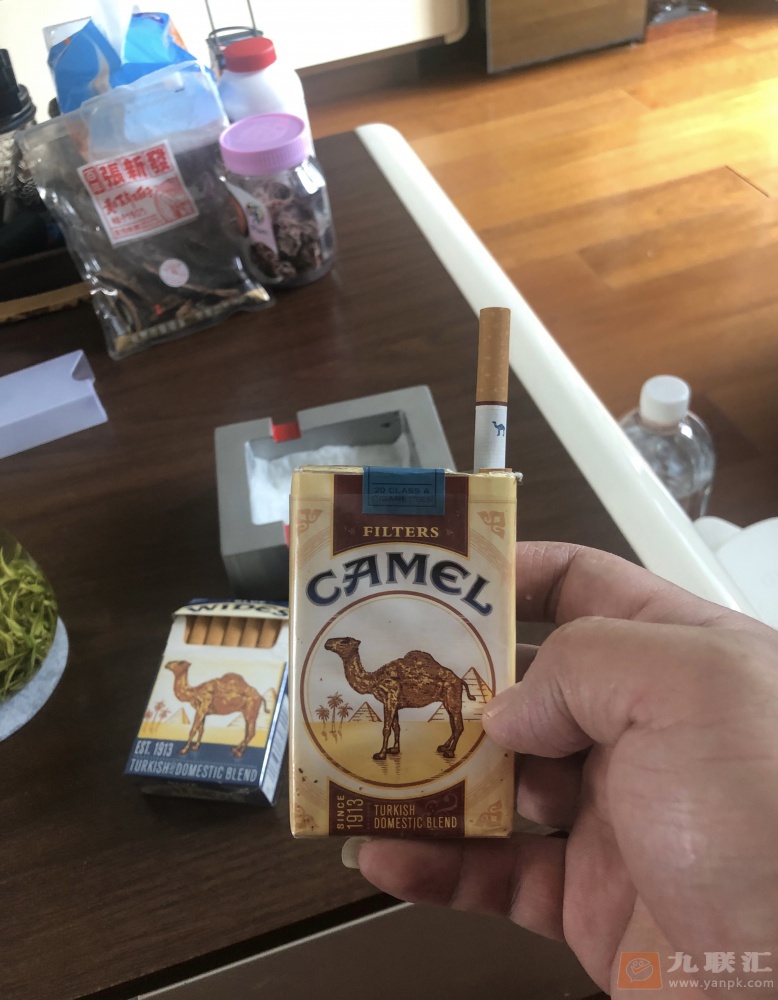 骆驼(软红美税)相册 95845_98876