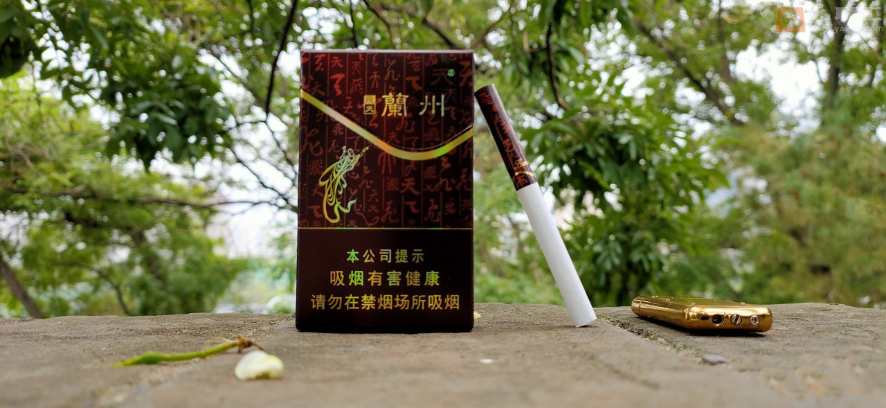 兰州(飞天)相册 634_10903