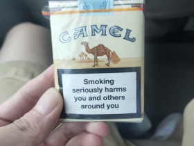 骆驼(无嘴中南半岛免税)