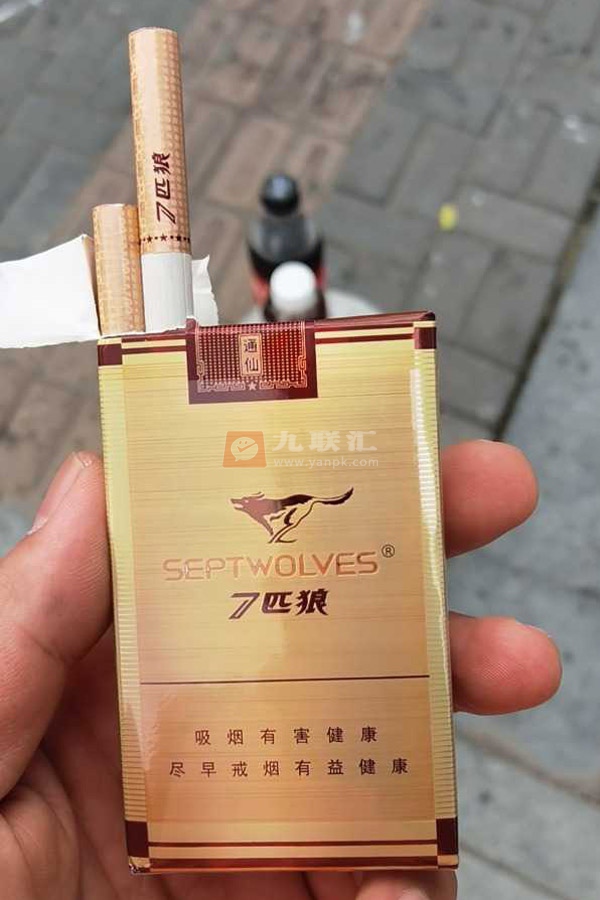 七匹狼(通仙)相册 1120_42612