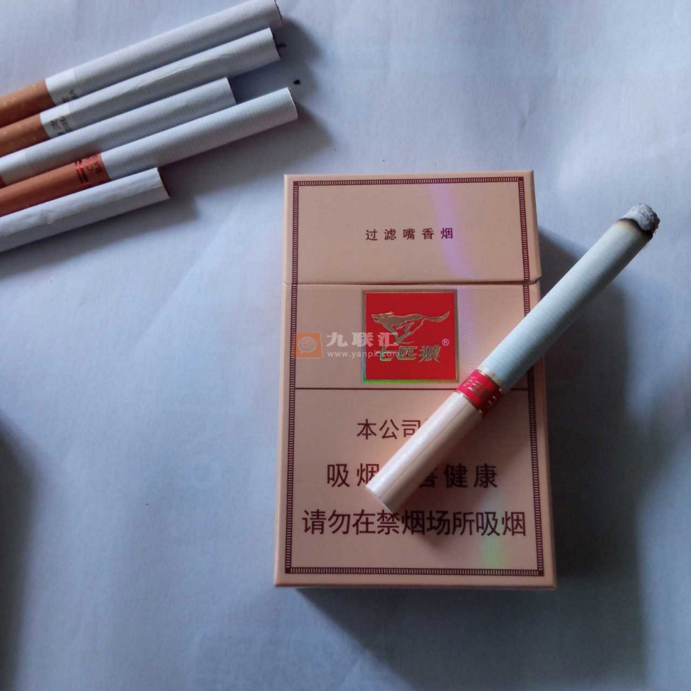 七匹狼金砂相册 92690_65607