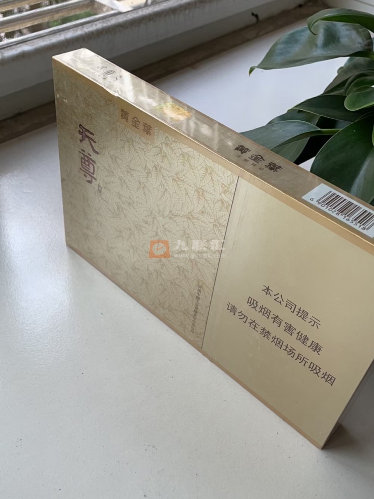 黄金叶(天尊)相册 93394_51228