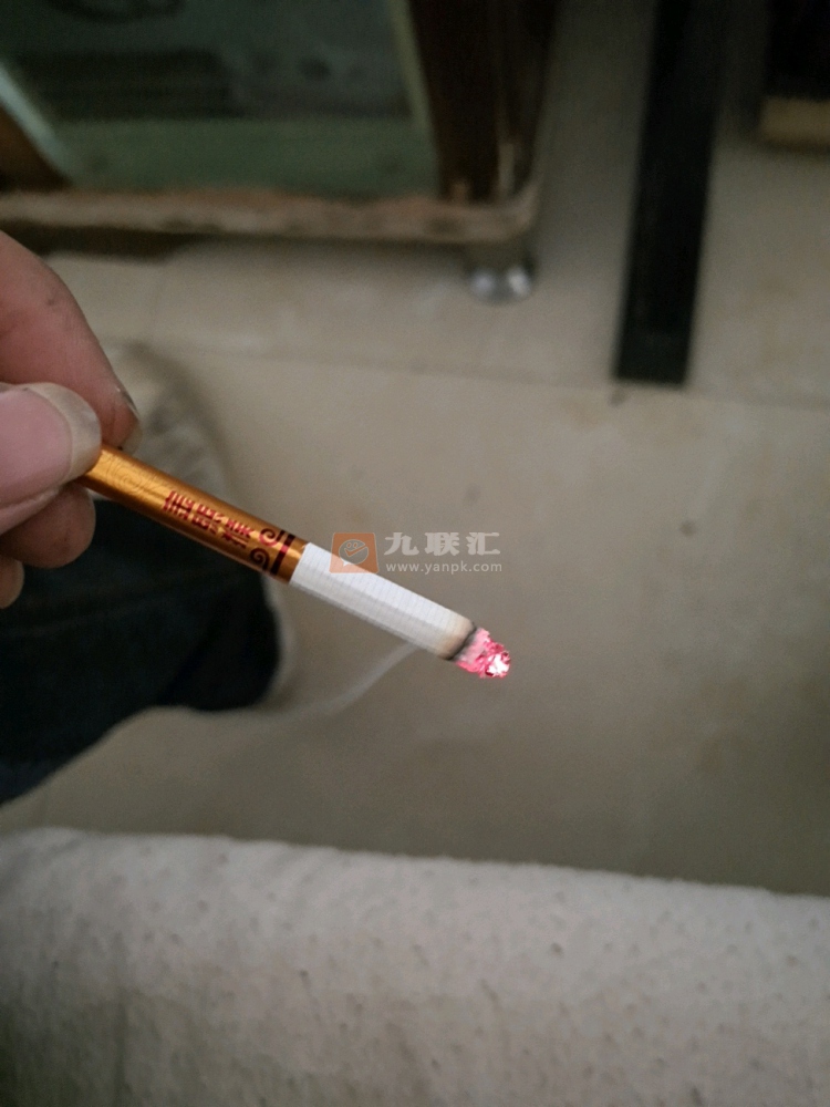 好猫(中支金丝猴)相册 93985_59334