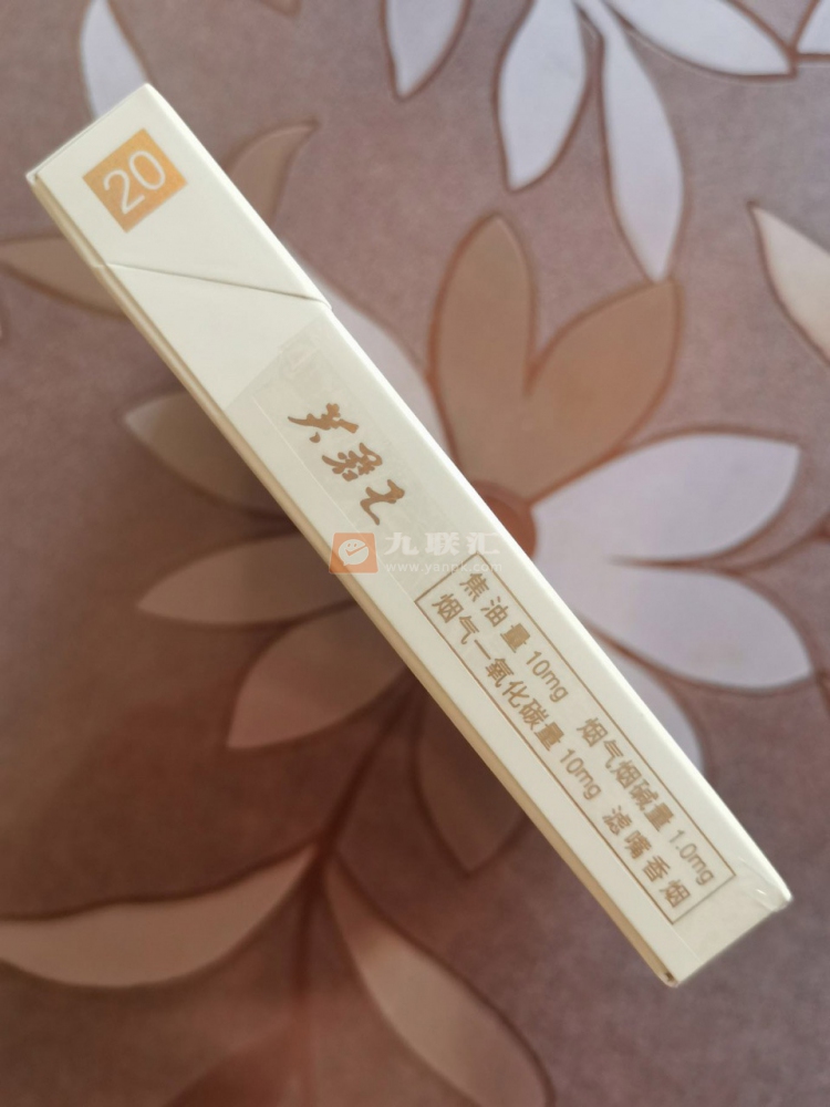 芙蓉王(王之荣耀)相册 芙蓉王(王之荣耀)