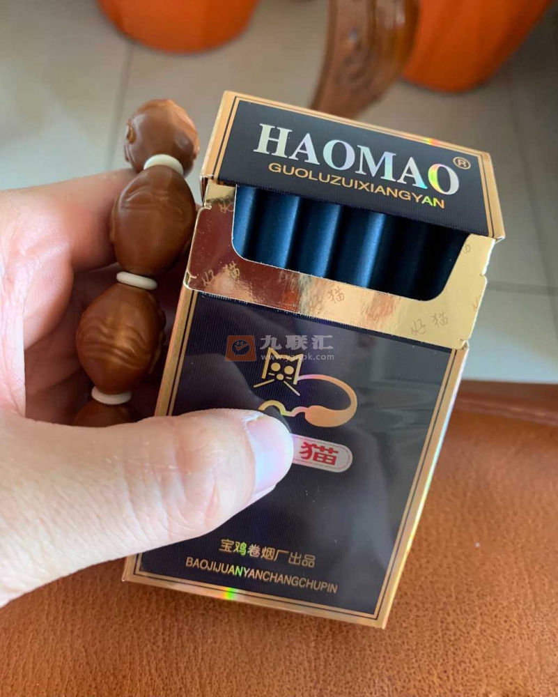 ]好猫(蓝)相册 277_15979