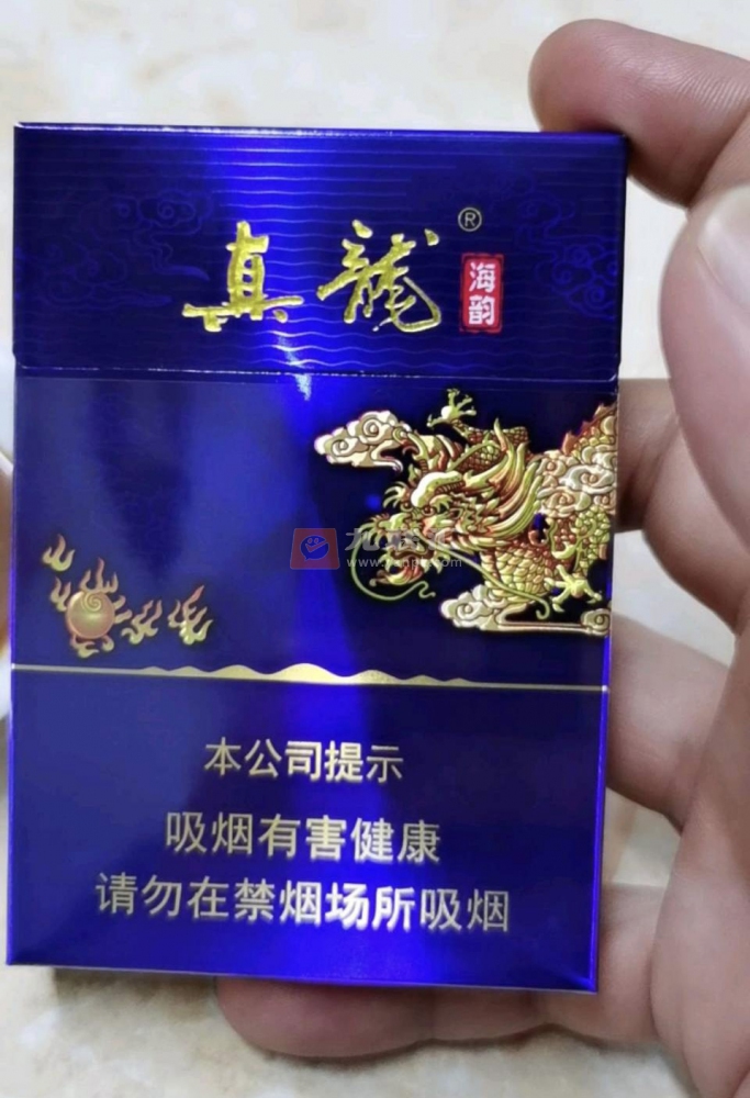 真龙(海韵中支)相册 95532_20692