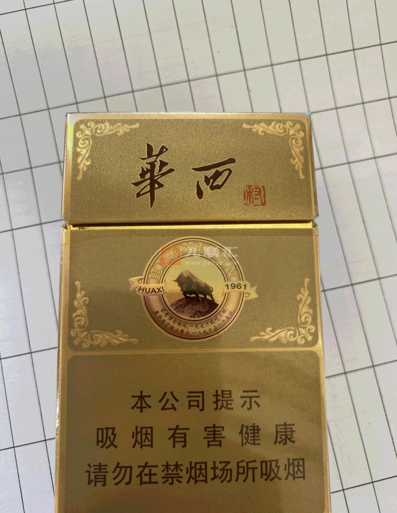 华西村(经典)相册 505_52832