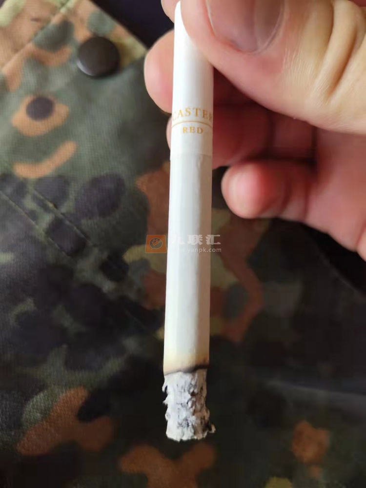 卡斯特(硬红蒙古版)相册 95841_53503