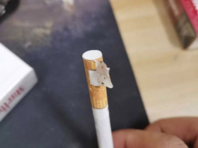 万宝路(硬红新几内亚版)