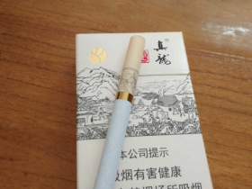 真龙(起源)相册 