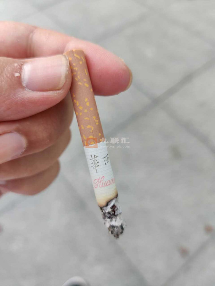 南京(红华西)相册 1115_76557