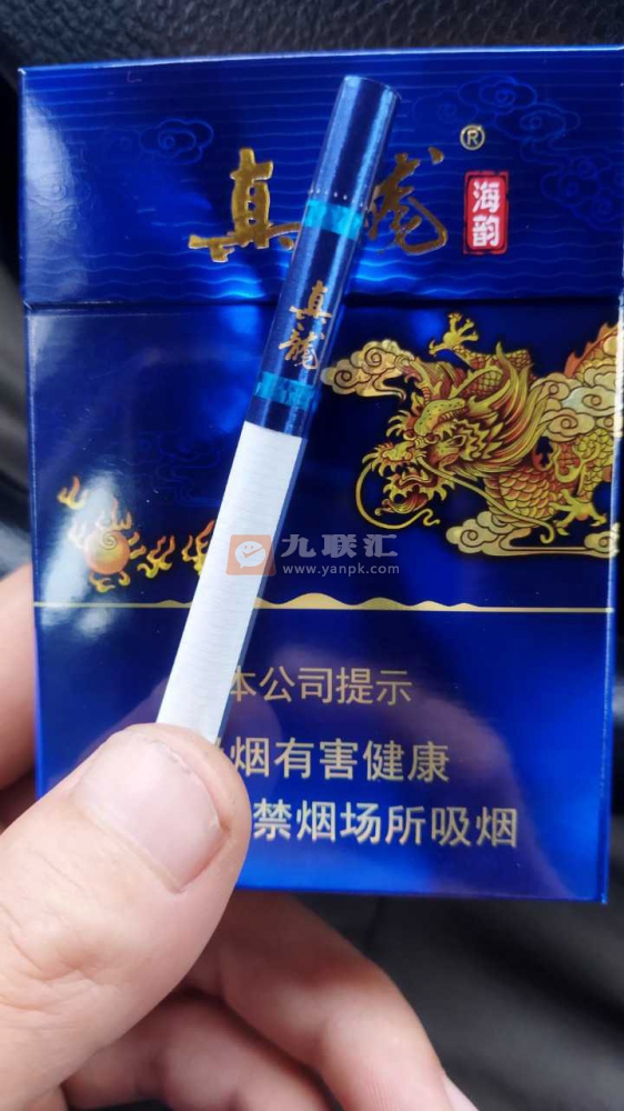 真龙(海韵中支)相册 95532_20978