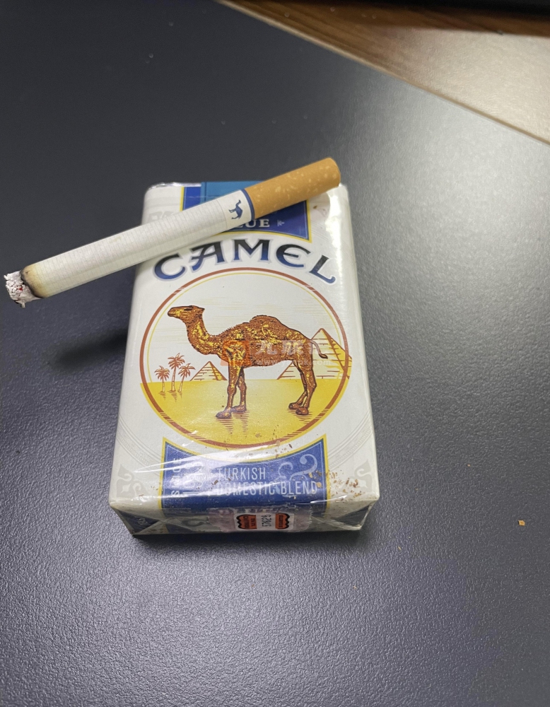 骆驼(软蓝美税弗吉尼亚版)相册 95611_64481